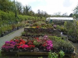 Crundale, Haverfordwest, SA62