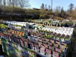 Crundale, Haverfordwest, SA62