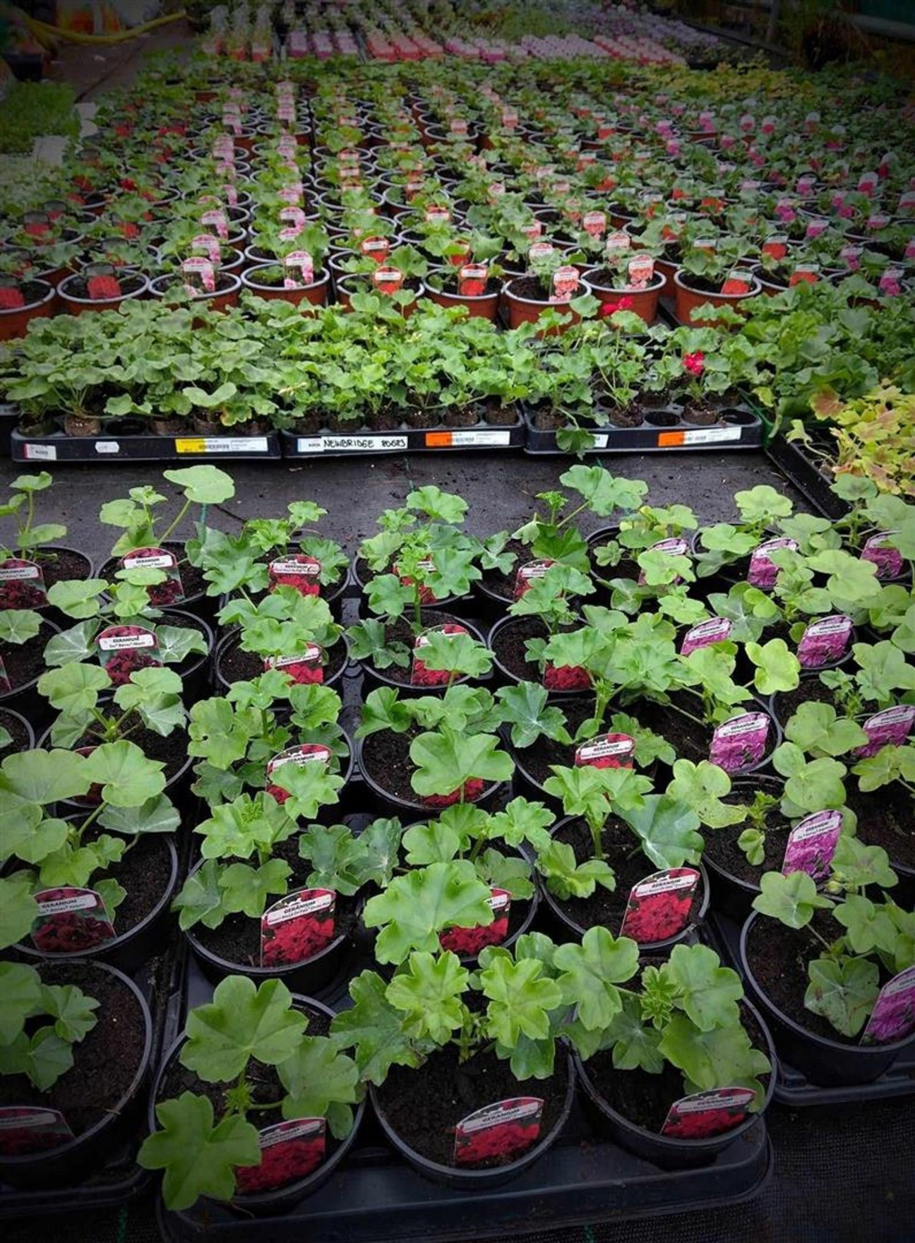 Crundale, Haverfordwest, SA62