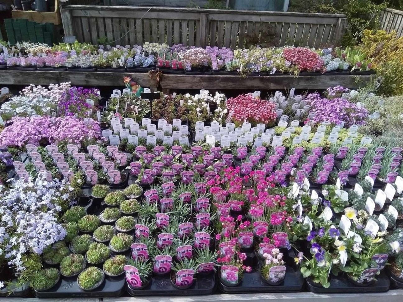 Crundale, Haverfordwest, SA62