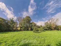 Crundale, Haverfordwest, SA62