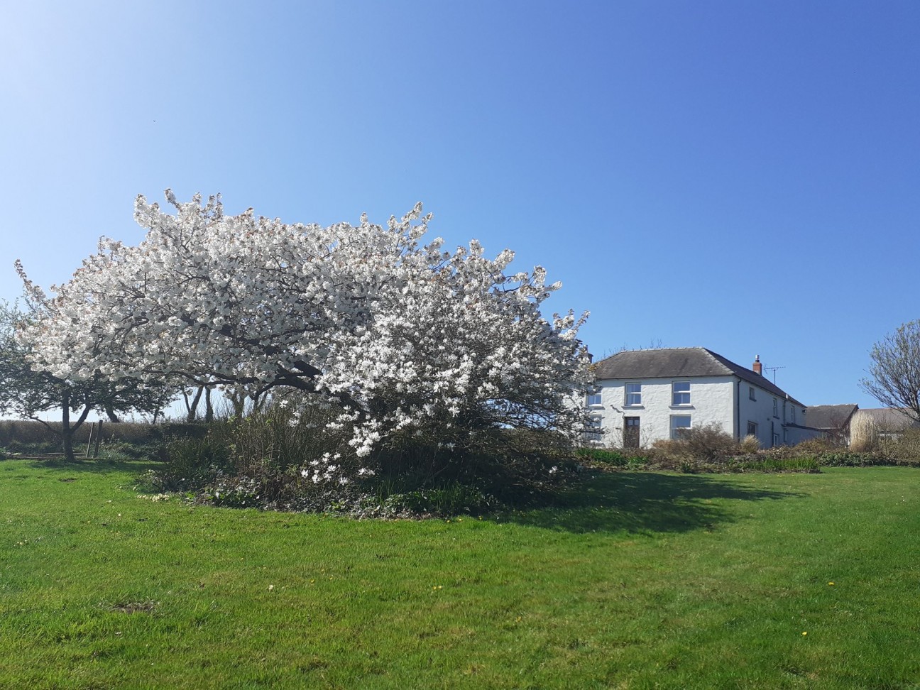 The Ridgeway, Manorbier, SA70