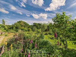 Llwyncelyn, Cilgerran, SA43