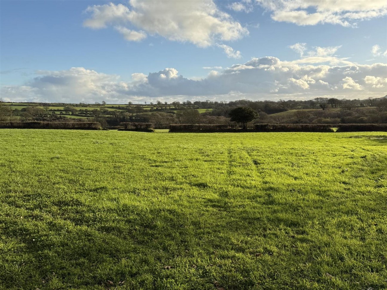 At New Holmus, Little Newcastle, SA62