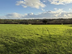 At New Holmus, Little Newcastle, SA62