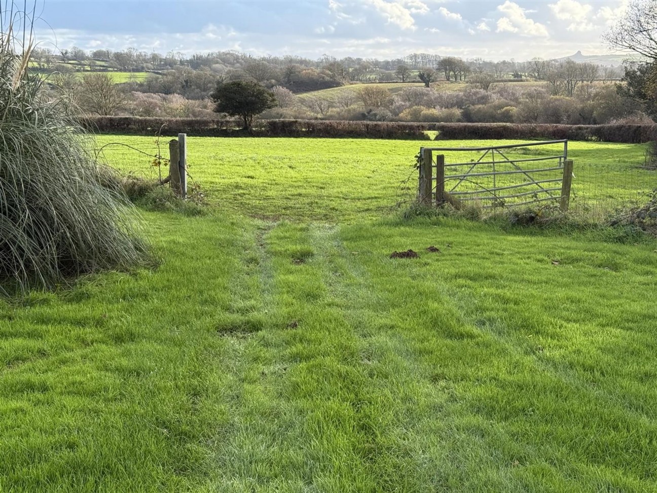 At New Holmus, Little Newcastle, SA62