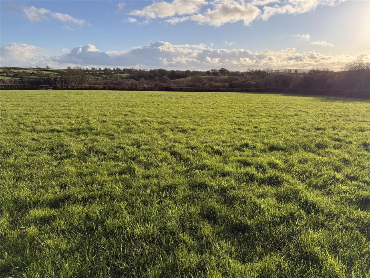 At New Holmus, Little Newcastle, SA62