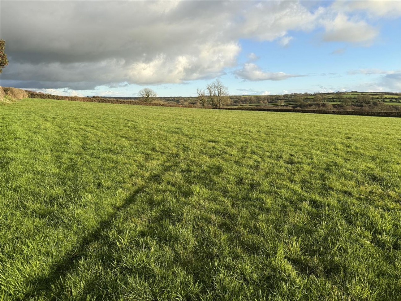 At New Holmus, Little Newcastle, SA62