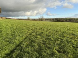 At New Holmus, Little Newcastle, SA62