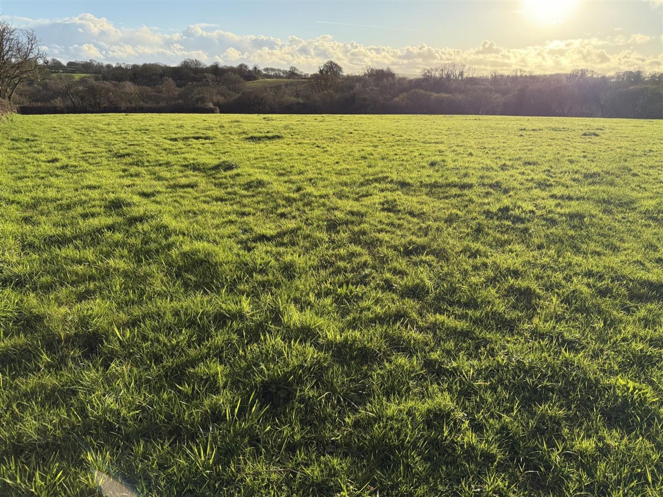 At New Holmus, Little Newcastle, SA62