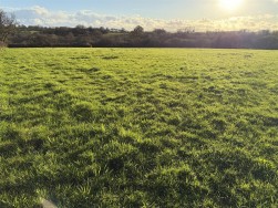 At New Holmus, Little Newcastle, SA62