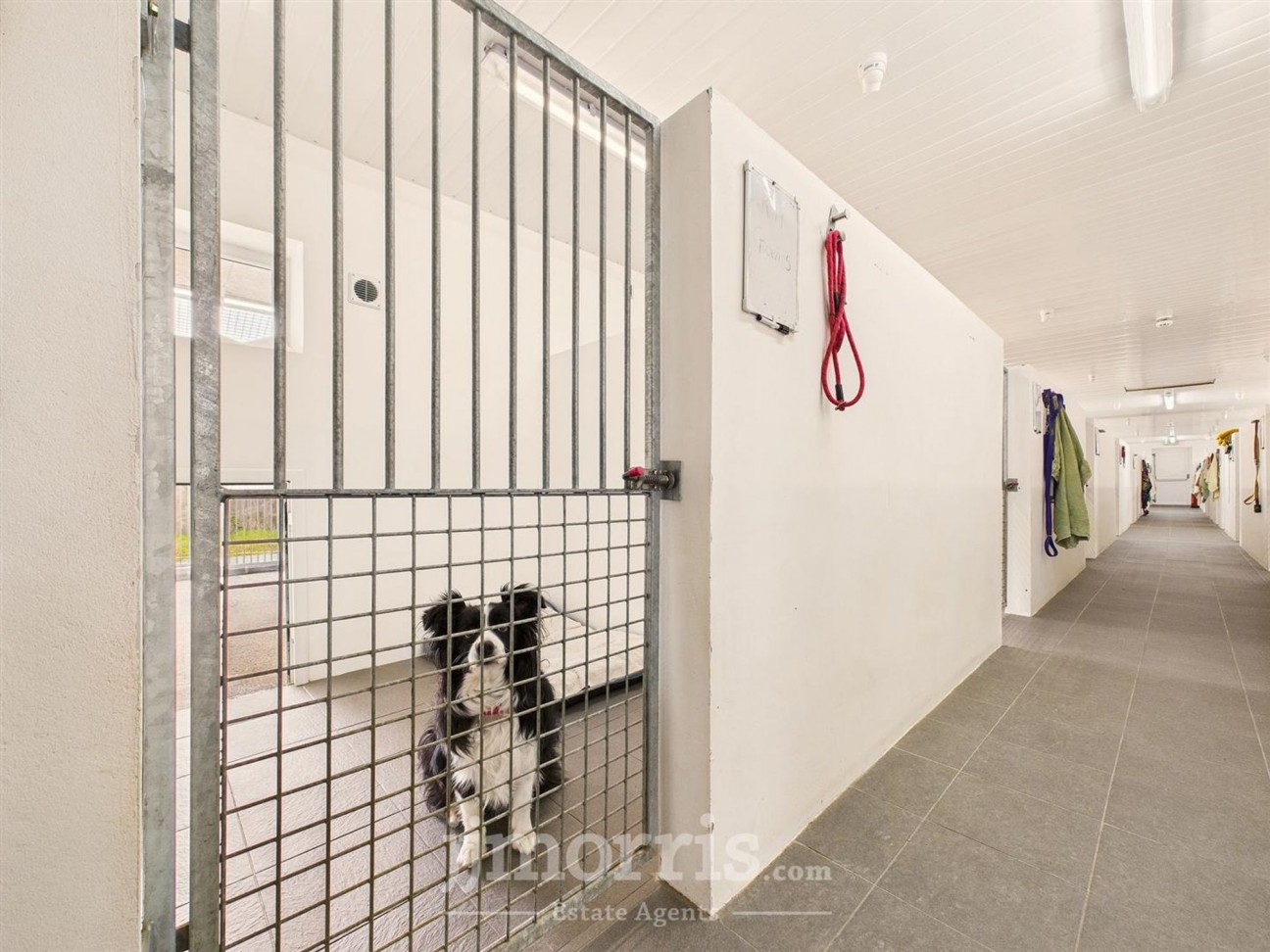 Cwmfelin Mynach, Whitland, SA34