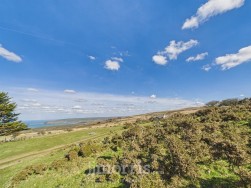 Spring Hill, Dinas Cross, SA42