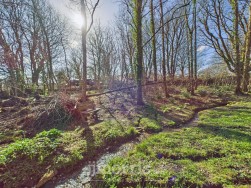 Cilgwyn Road, Newport, SA42