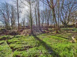 Cilgwyn Road, Newport, SA42