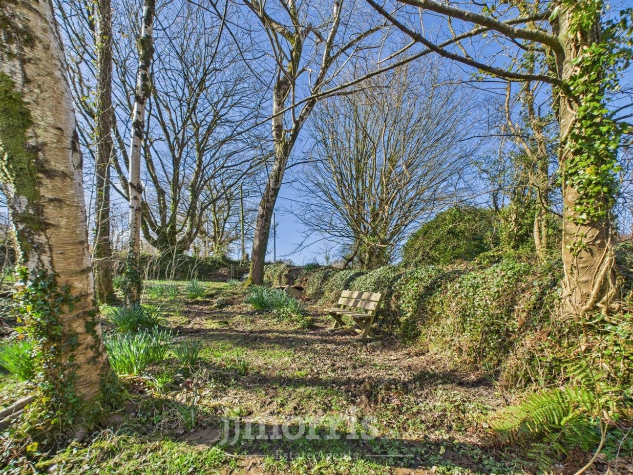 Cilgwyn Road, Newport, SA42