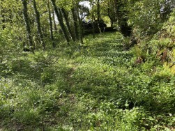 Cilgwyn Road, Newport, SA42