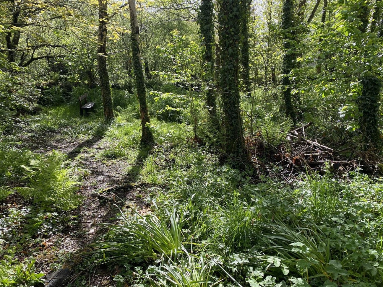 Cilgwyn Road, Newport, SA42