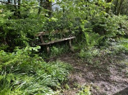 Cilgwyn Road, Newport, SA42