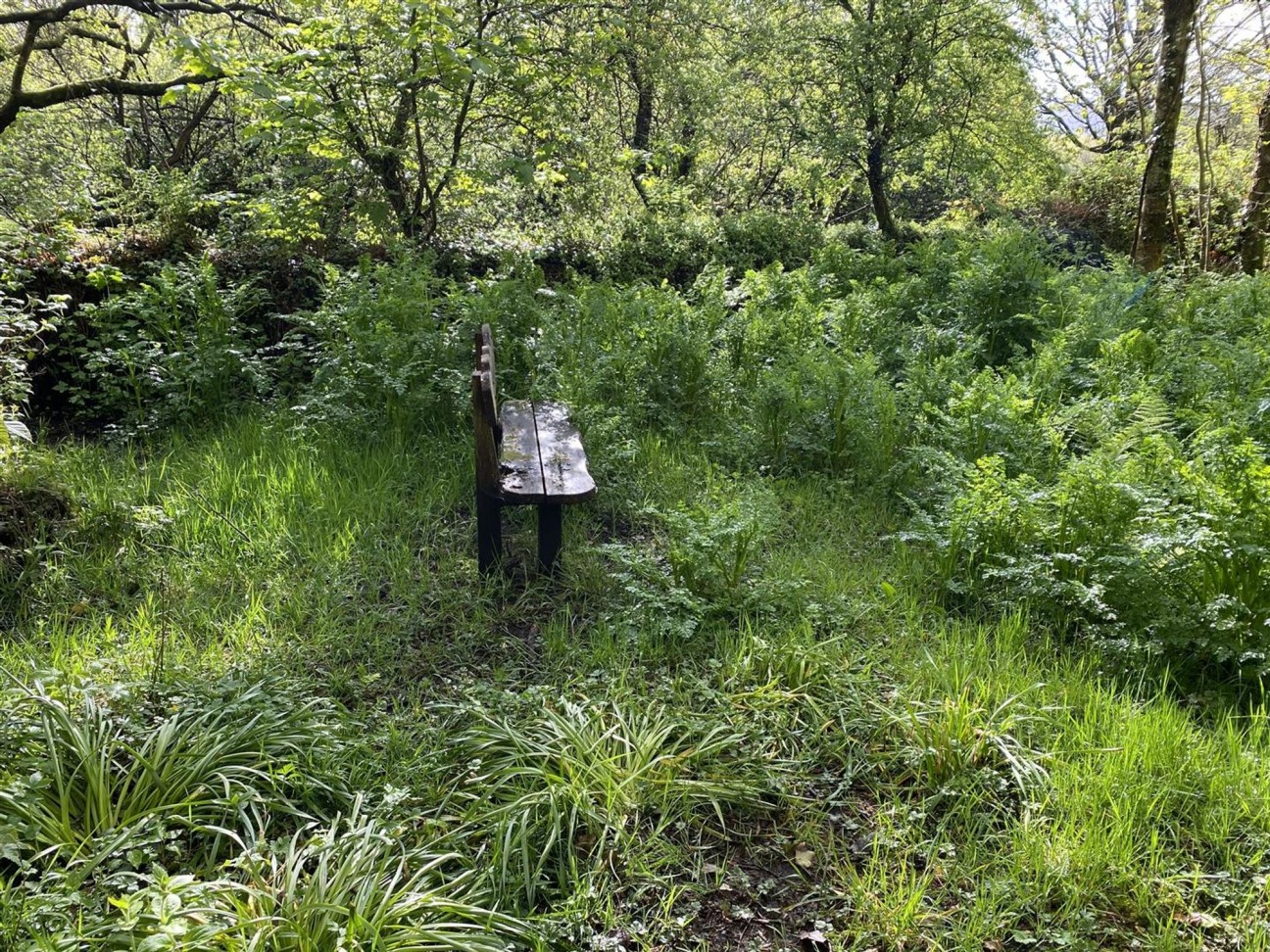 Cilgwyn Road, Newport, SA42