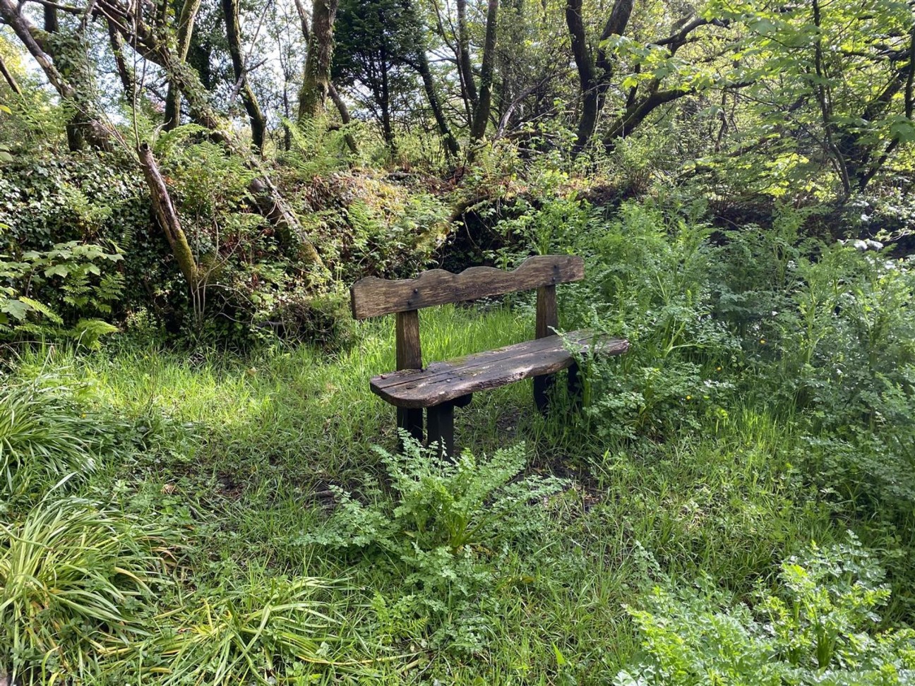 Cilgwyn Road, Newport, SA42