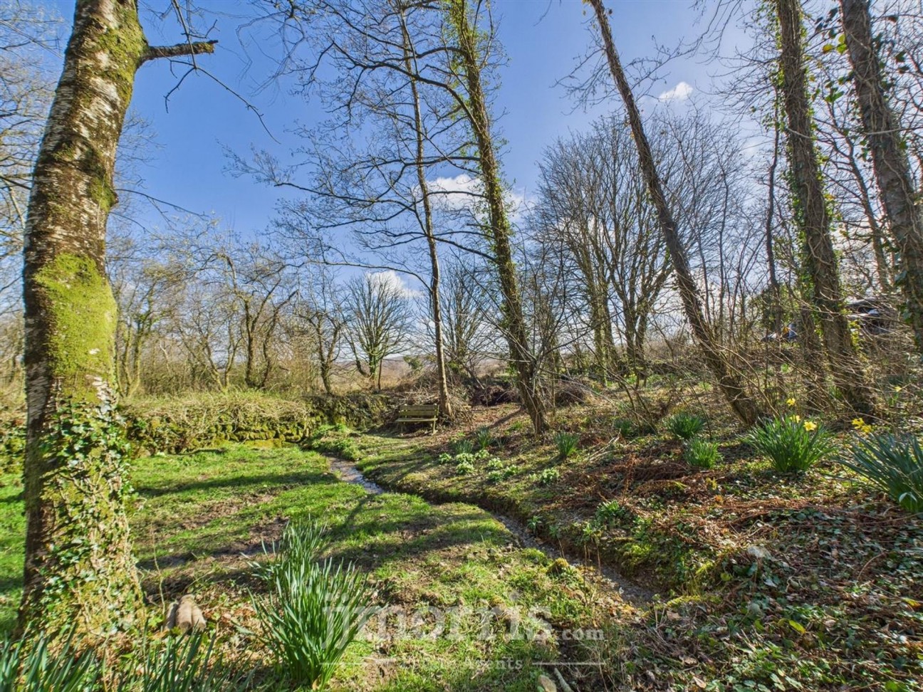 Cilgwyn Road, Newport, SA42