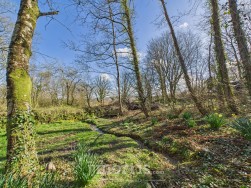 Cilgwyn Road, Newport, SA42