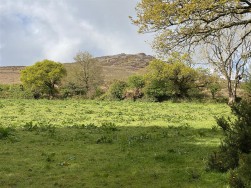 Cilgwyn Road, Newport, SA42