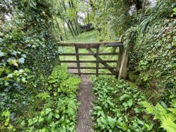 Cilgwyn Road, Newport, SA42