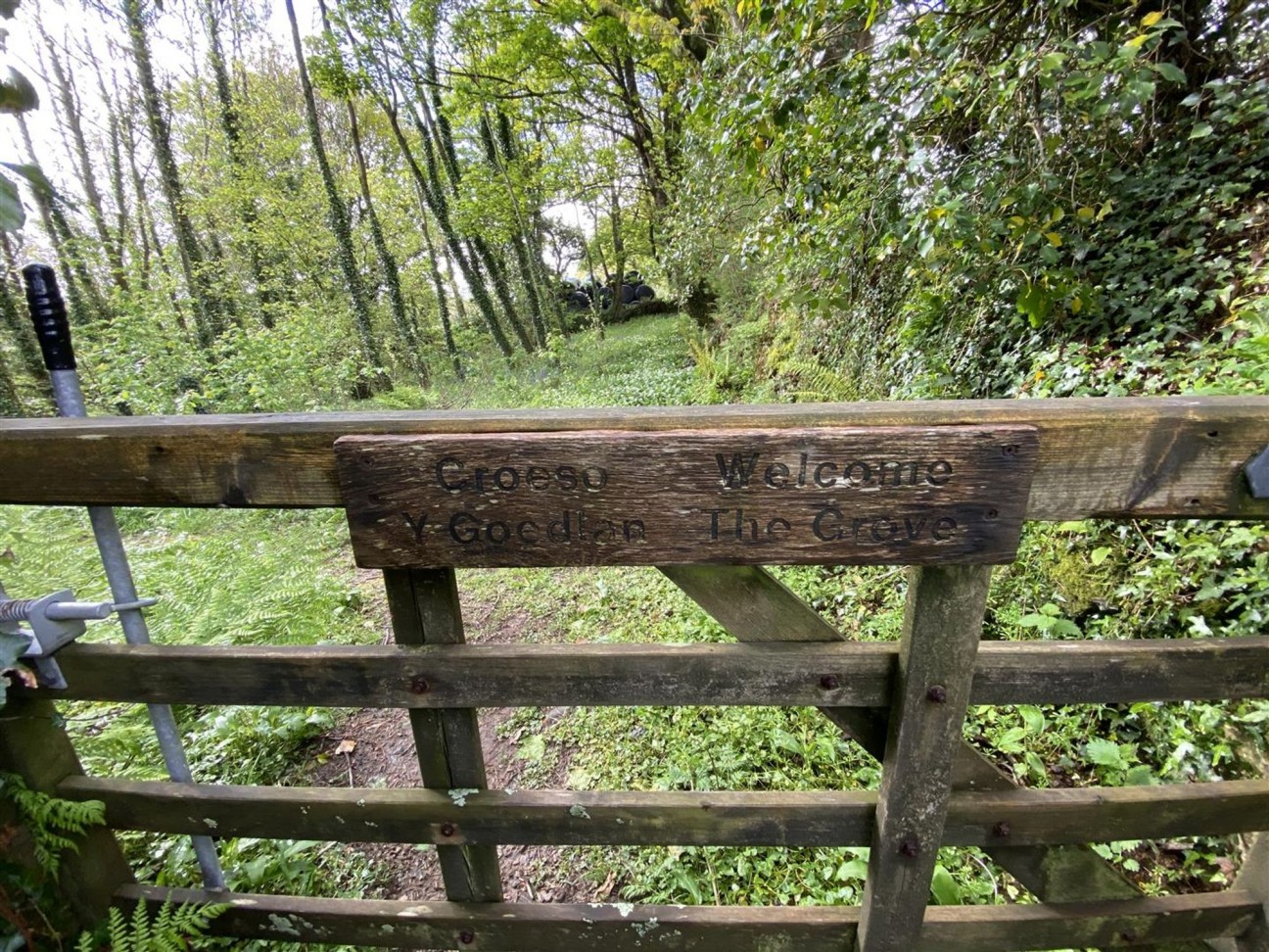 Cilgwyn Road, Newport, SA42