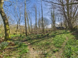 Cilgwyn Road, Newport, SA42