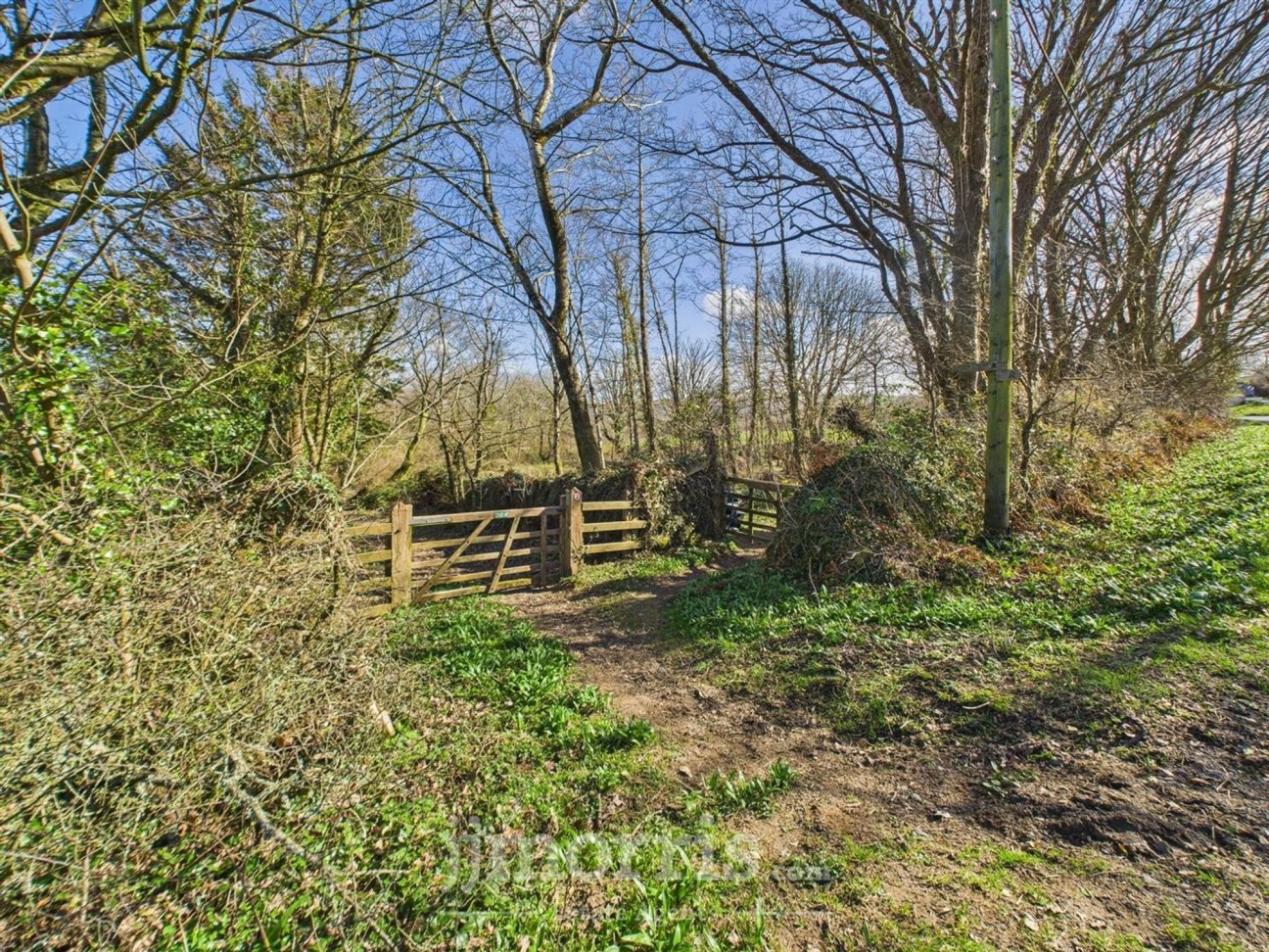 Cilgwyn Road, Newport, SA42