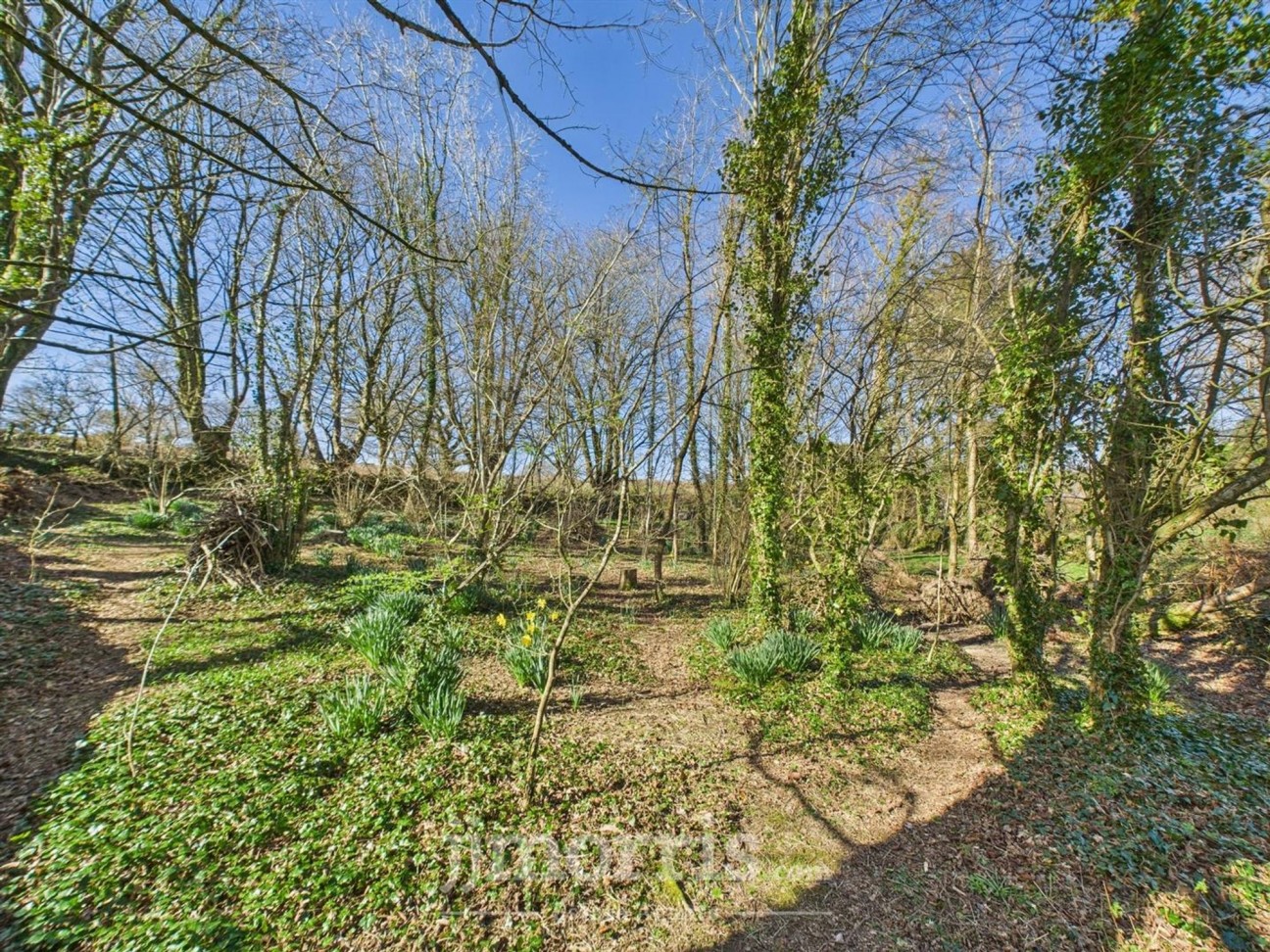 Cilgwyn Road, Newport, SA42