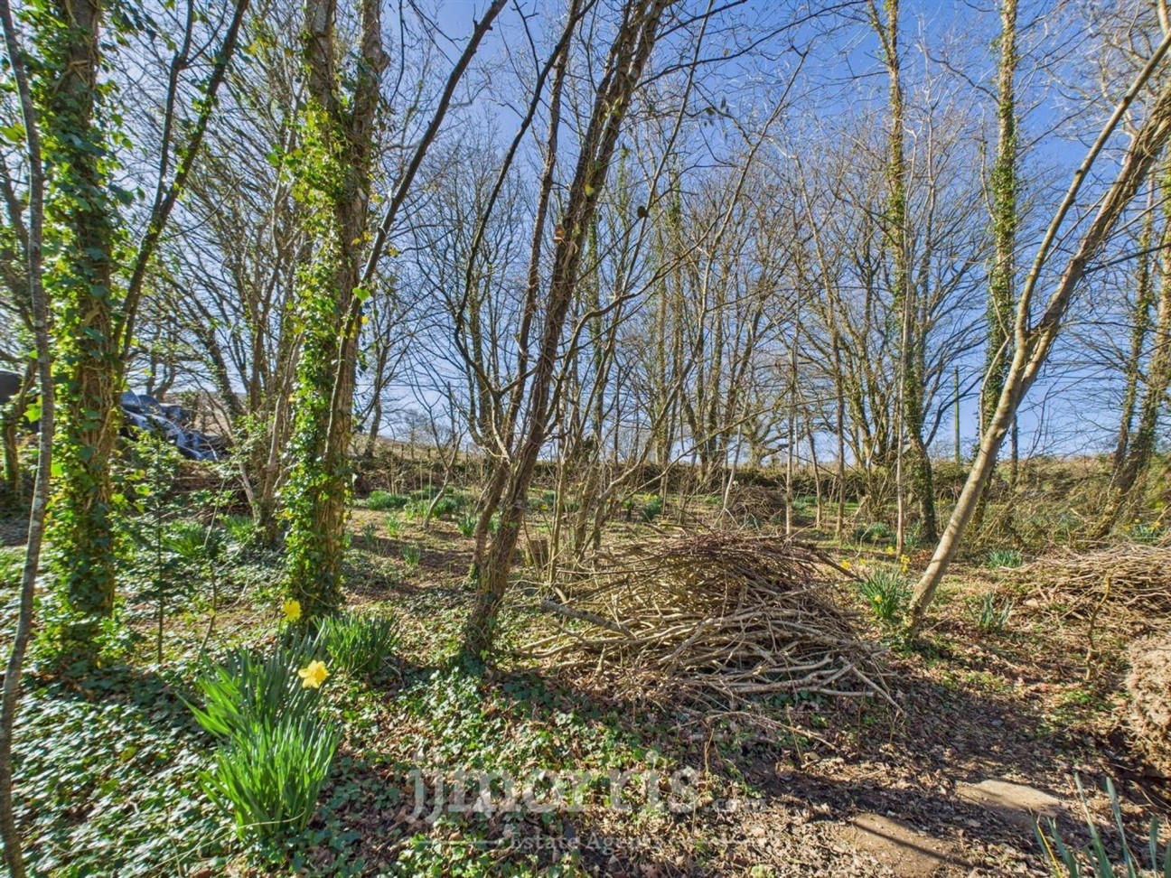 Cilgwyn Road, Newport, SA42