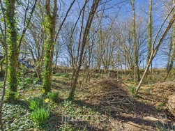 Cilgwyn Road, Newport, SA42