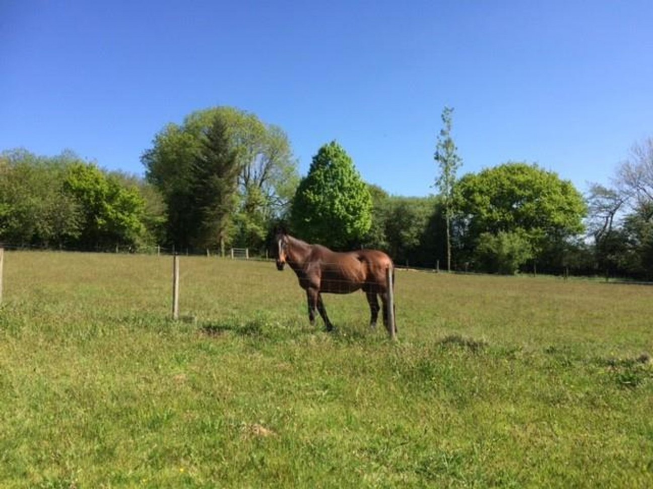 Hebron, Whitland, SA34