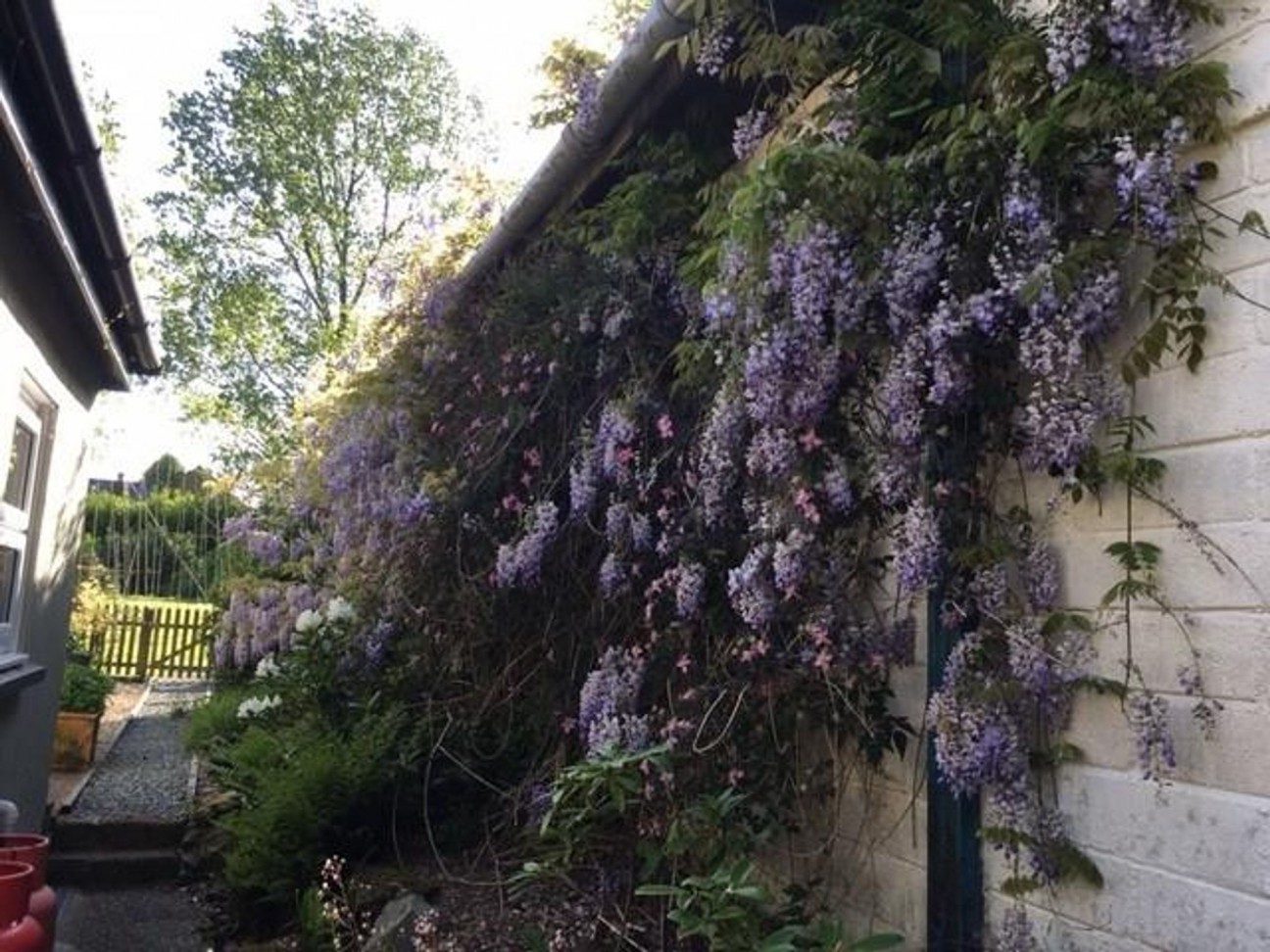 Hebron, Whitland, SA34