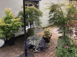 Hebron, Whitland, SA34