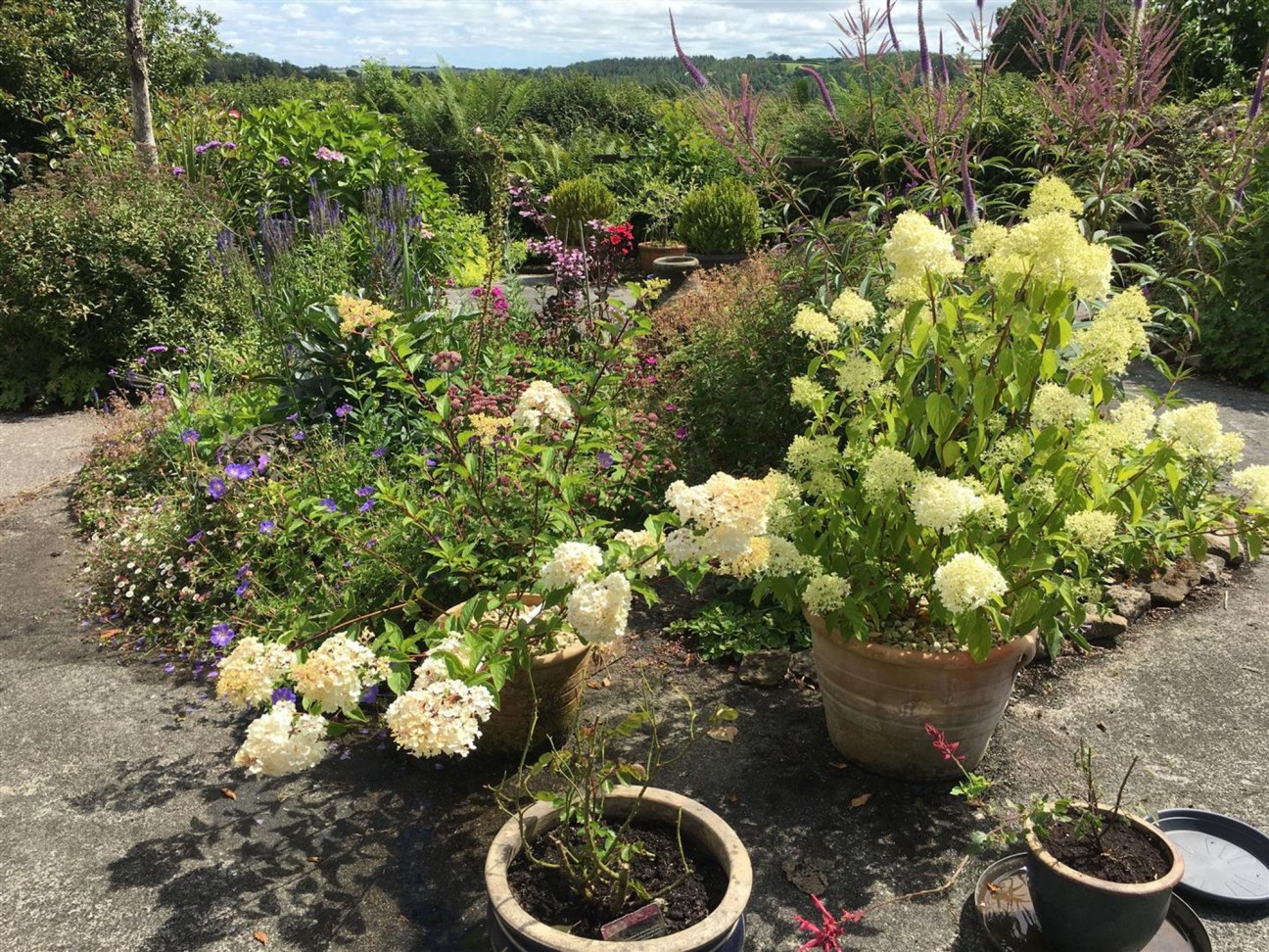 Hebron, Whitland, SA34