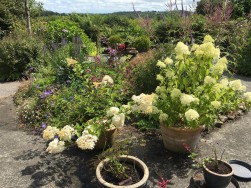 Hebron, Whitland, SA34