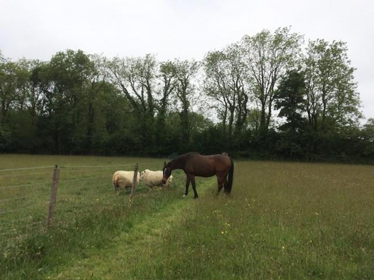 Hebron, Whitland, SA34