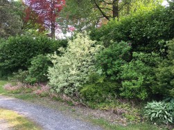 Hebron, Whitland, SA34