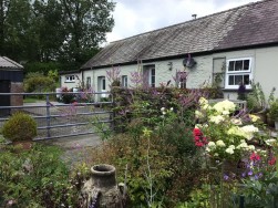 Hebron, Whitland, SA34