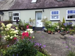 Hebron, Whitland, SA34