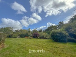 Cenarth, Newcastle Emlyn, SA38