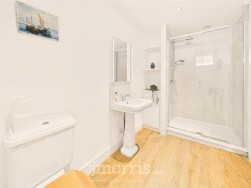 Cenarth, Newcastle Emlyn, SA38