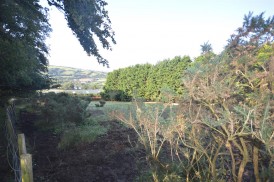 Llyn Y Fran Road, Llandysul, SA44
