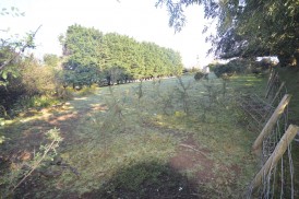 Llyn Y Fran Road, Llandysul, SA44