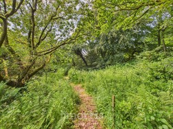 Llanfyrnach, SA35