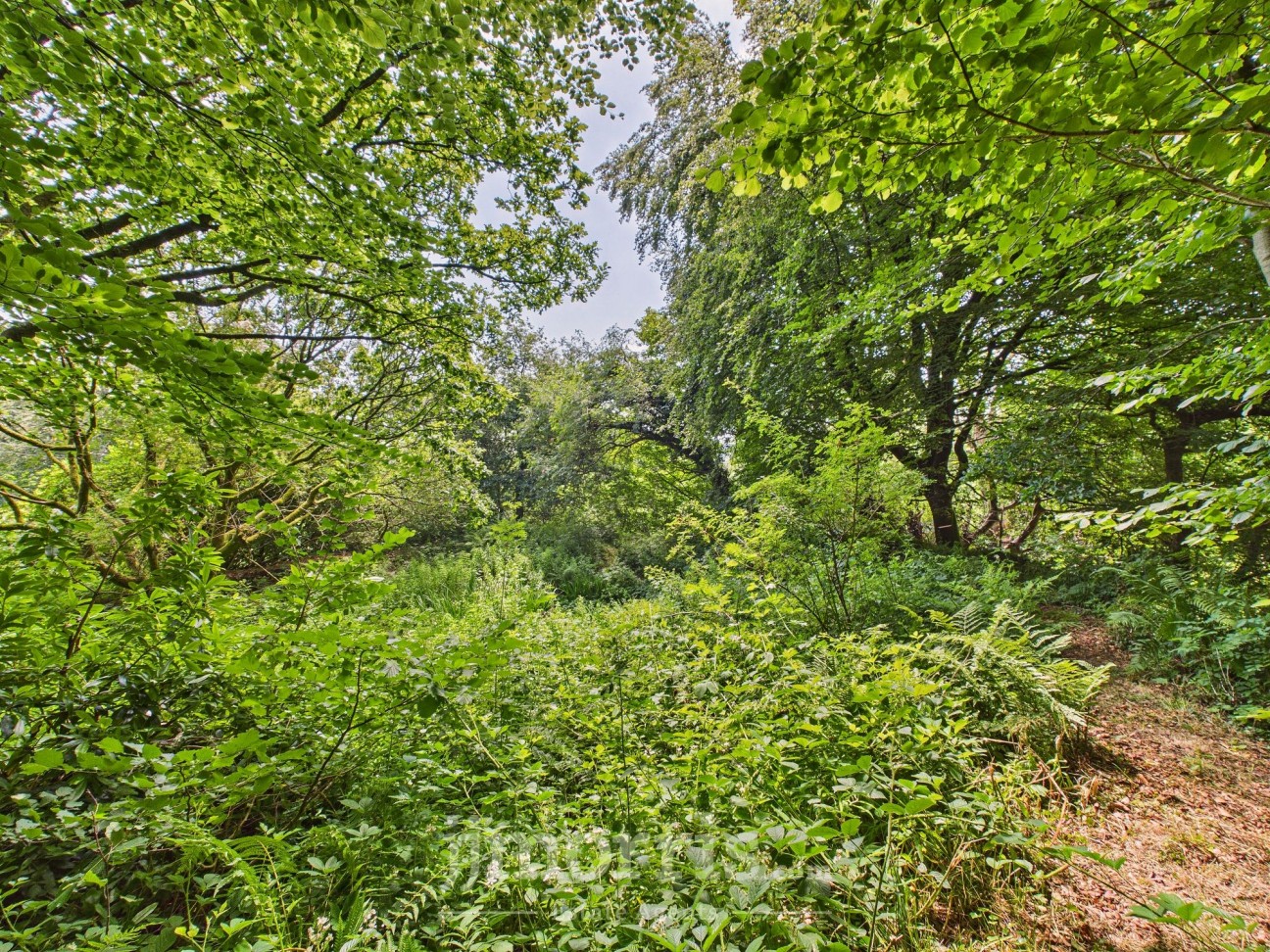Llanfyrnach, SA35